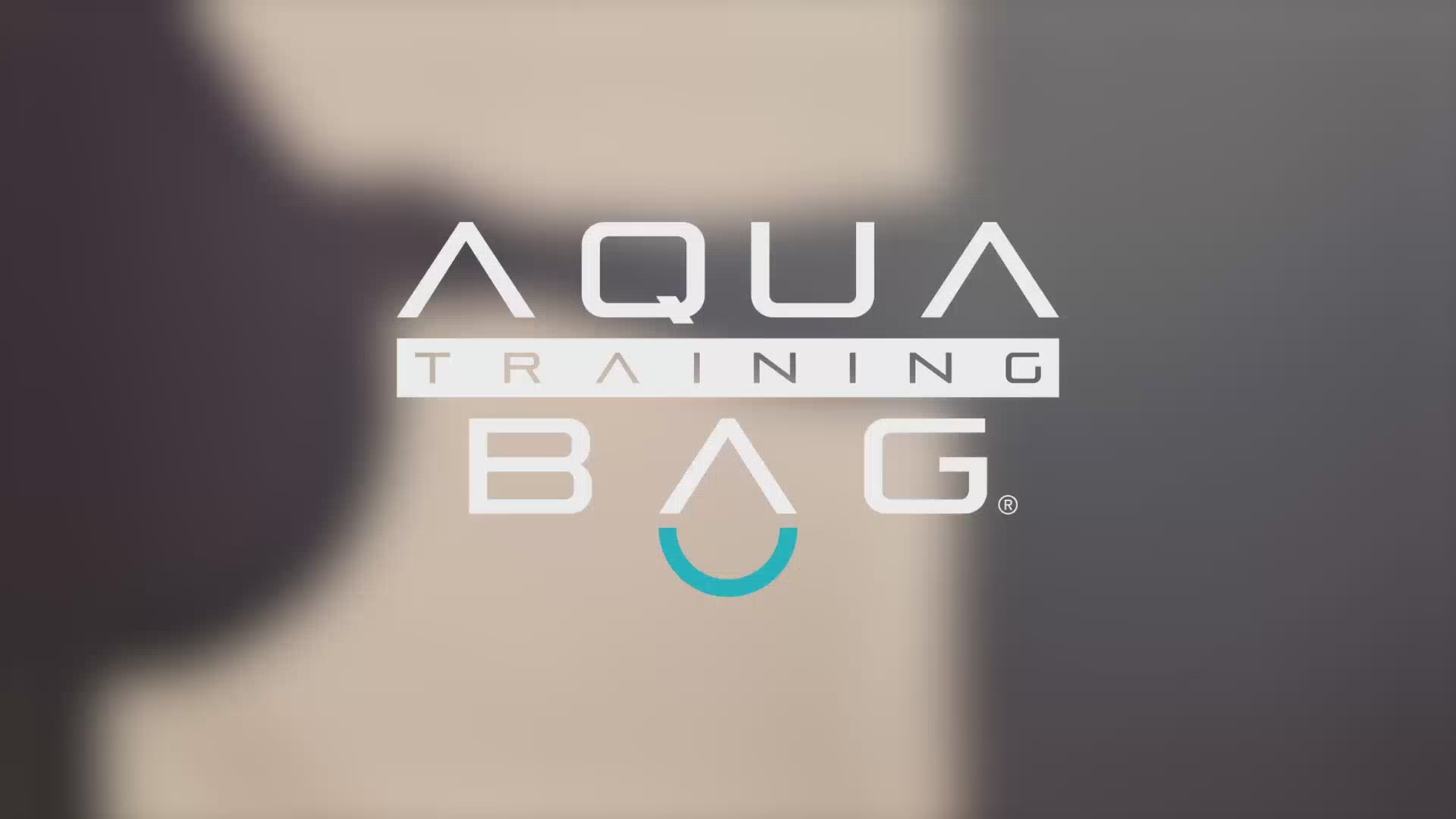 Aqua Punching Bag - 190lb, 21 pulgadas